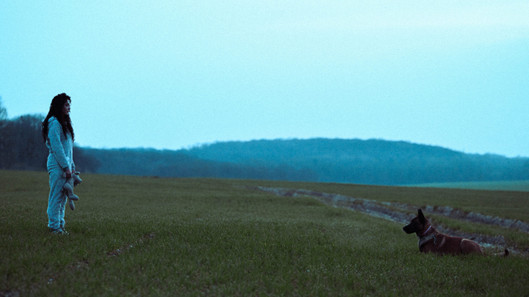 CEUX QUI DÉRANGENT (THOSE WHO DISTURB)