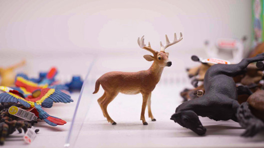 LE DERNIER AFFÛT (THE LAST HIDE)