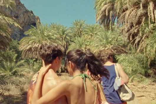 Tropic of the Mourning Gecko