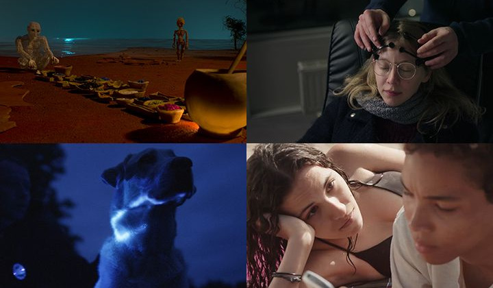 Photos des films © DR