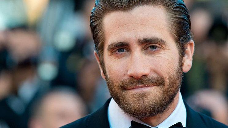 Jake Gyllenhaal © Getty Images / Ben A. Pruchnie