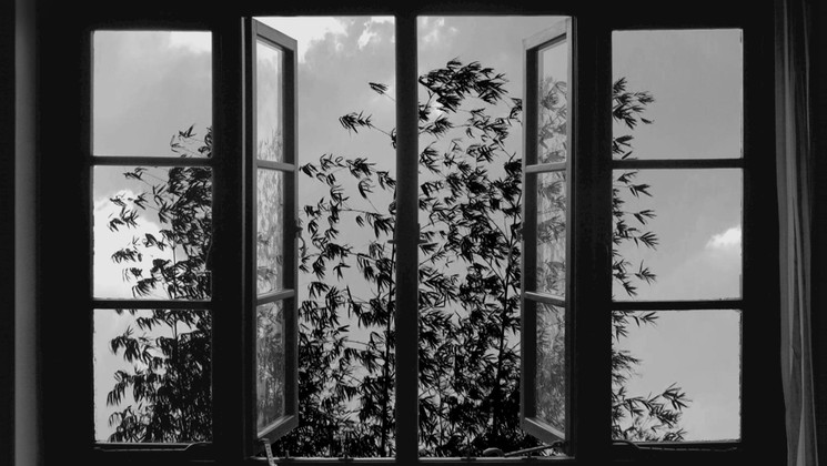 Film still of 24 Frames © RR