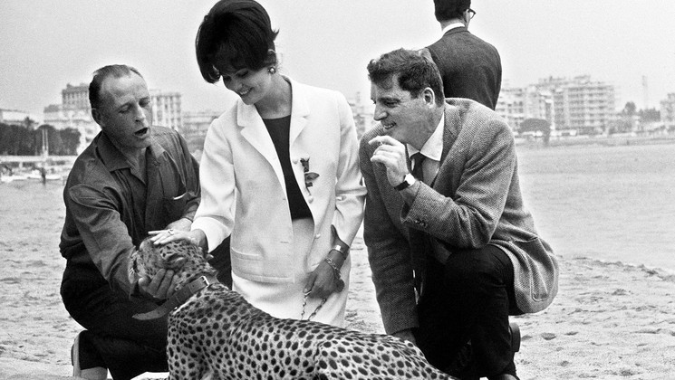 Claudia Cardinale, Burt Lancaster - Il Gattopardo (Le Guépard) © STAFF / AFP