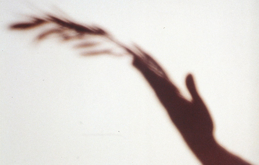 In 1990, an original design by Castella Traquandi appeared in the shadow of a Palme for the official poster. © Castella Traquandi / ADAGP