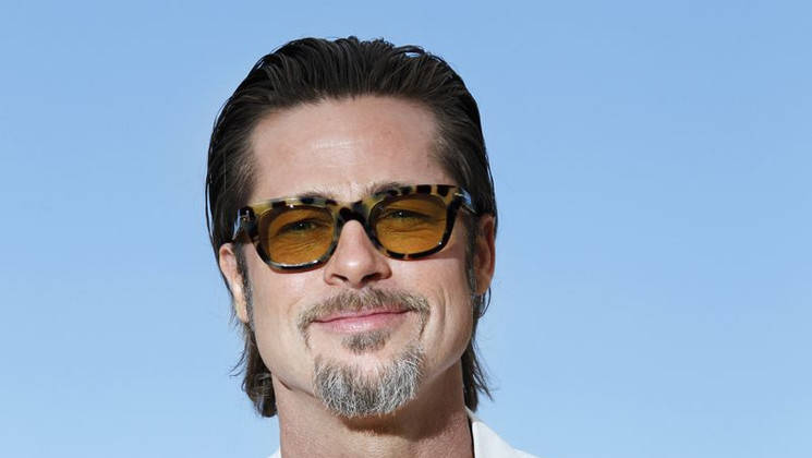 Brad Pitt - Photocall - The Tree of Life © AFP