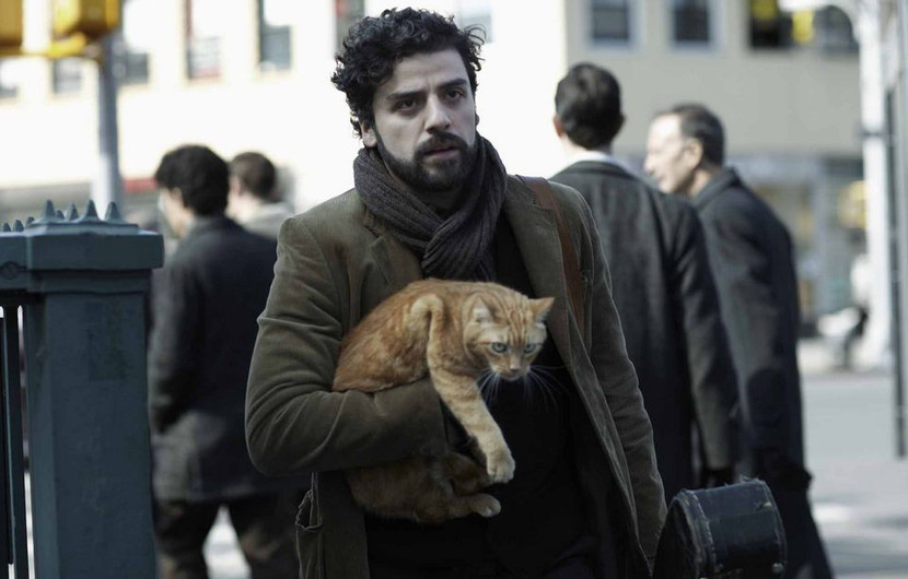 Oscar Isaac alias Llewyn Davis dans Llewyn Davis © DR
