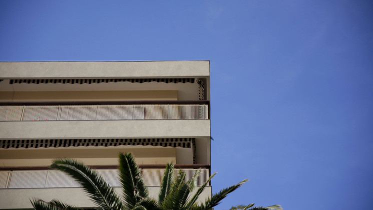 Ordinary everyday palms 2 © Judith Hillebrant