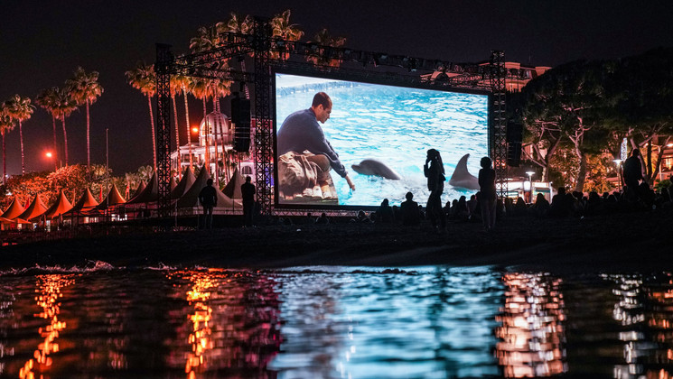 Projection de Le Grand Bleu (The Big Blue) © Olivier Morin/AFP