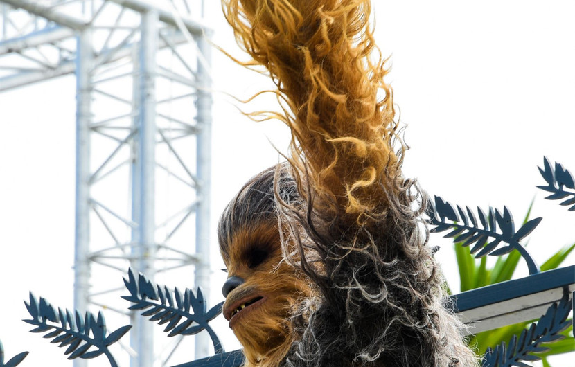 « Chewie Back à Cannes » © Lionel Urman - Starface