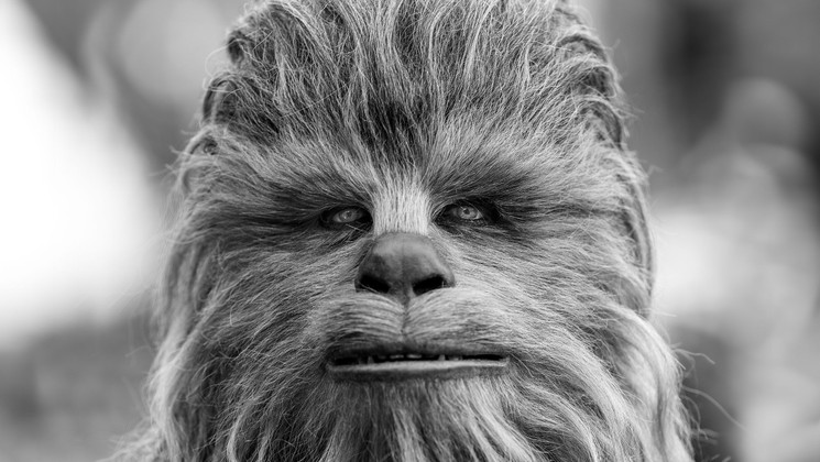 « Pile-Poil » © Christophe Chevalier – GR Photos