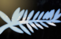 Accreditations are Open for Cannes 2019