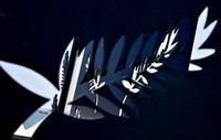 Cannes 2020 : official press release