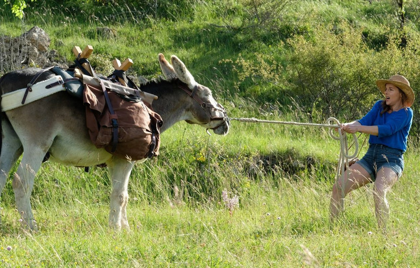 ANTOINETTE DANS LES CÉVENNES (My Donkey, My Lover & I) - Film's picture © CHAPKA FILMS / LA FILMERIE / DIAPHANA DISTRIBUTION