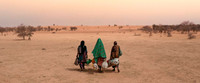 Cinema for the climate