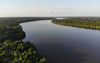 Six international, national and local environmental projects supported by the Festival