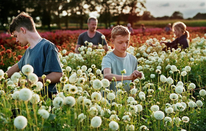 Picture of the film CLOSE by Lukas DHONT © Kris Dewitte_Menuet