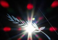 Cannes 2023: accreditations are open!