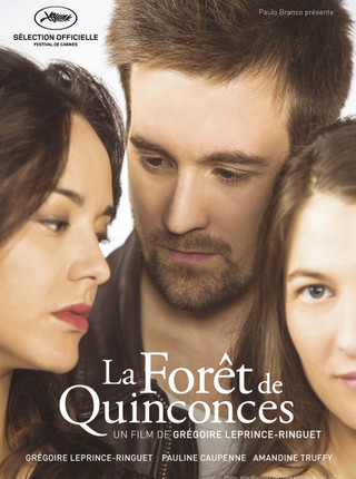 LA FORET DE QUINCONCES