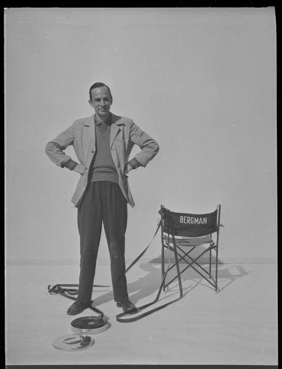 BERGMAN - A YEAR IN A LIFE