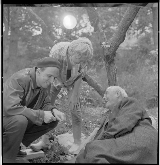 BERGMAN - A YEAR IN A LIFE