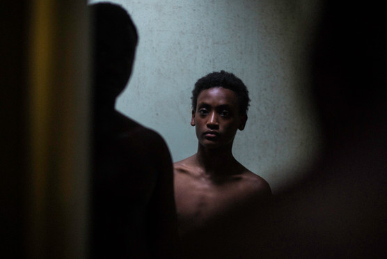 TOUTES CES CRÉATURES