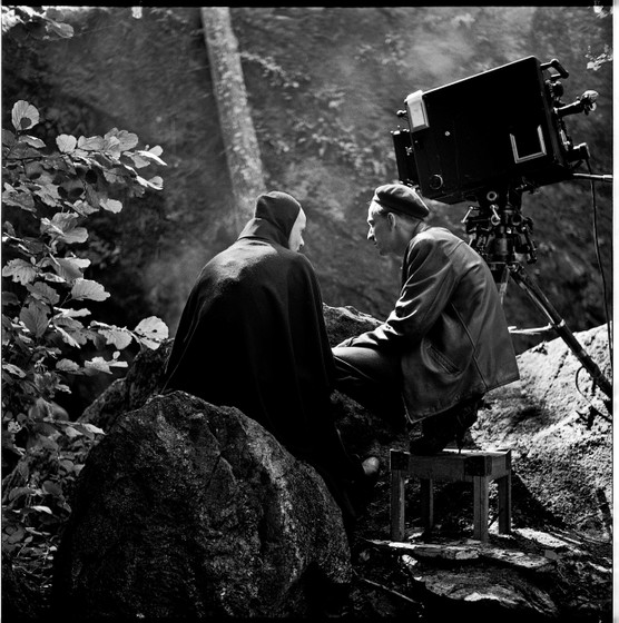 BERGMAN - A YEAR IN A LIFE