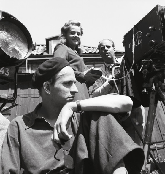 BERGMAN - A YEAR IN A LIFE