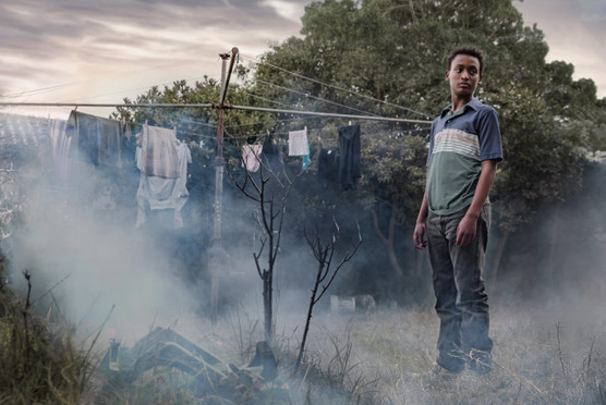 TOUTES CES CRÉATURES