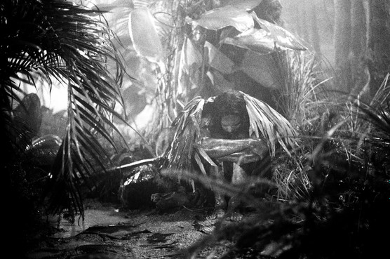 Photo du Film