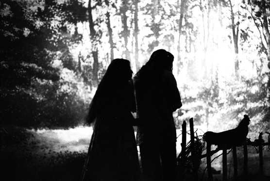 Photo du Film