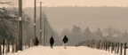 EN ATTENDANT LE DÉGEL