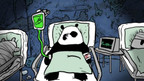PANDY
