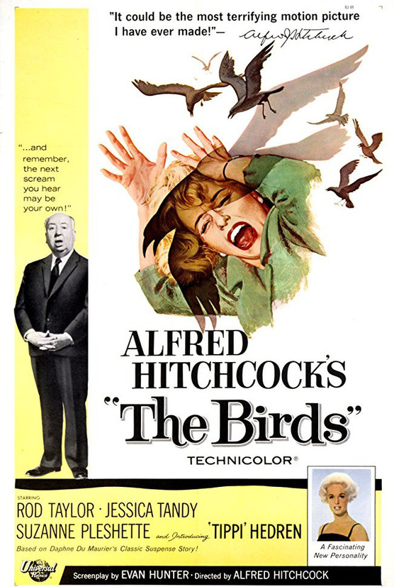 THE BIRDS © DR