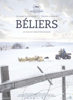 BÉLIERS © CR