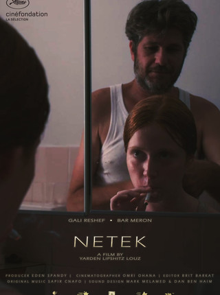 NETEK