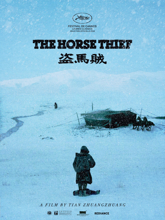 THE HORSE THIEF