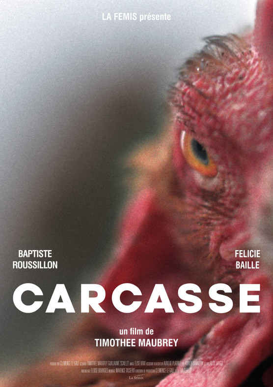CARCASSE © Timothee Maubrey