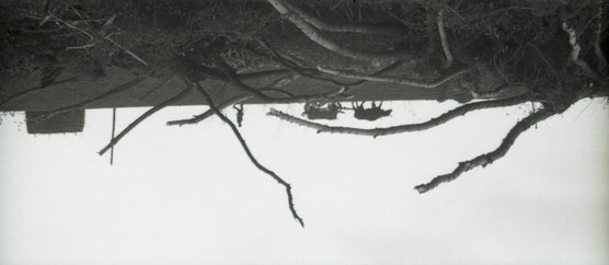 LA PIERRE LANCÉE © István Lugossy