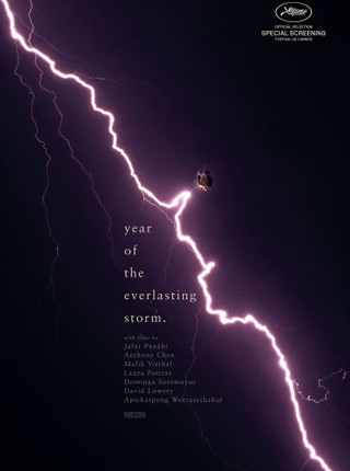 THE YEAR OF THE EVERLASTING STORM