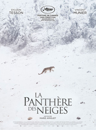 LA PANTHERE DES NEIGES