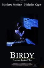 BIRDY © DR