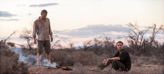 THE ROVER