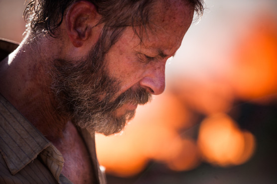 THE ROVER