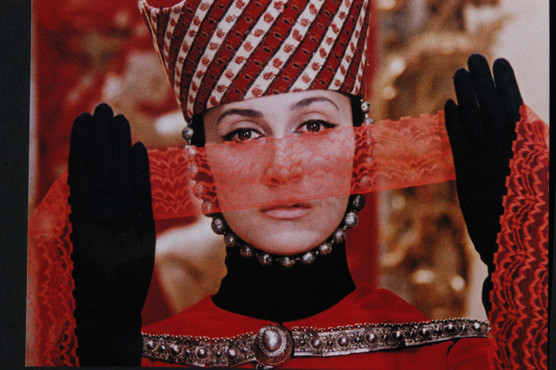 THE COLOR OF POMEGRANATES