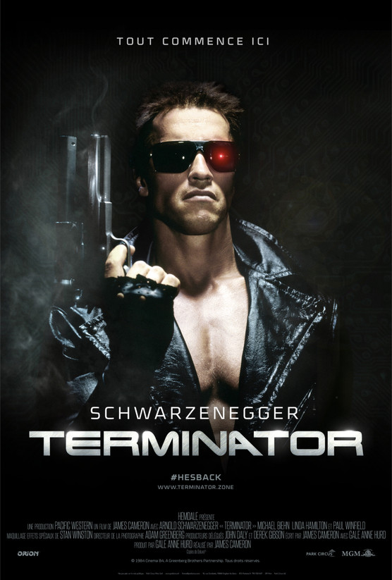 Affiche du Film