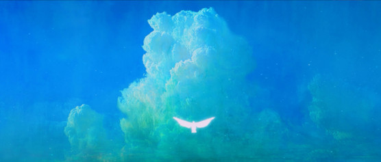 BIRD RHAPSODY © Wonjung Choi