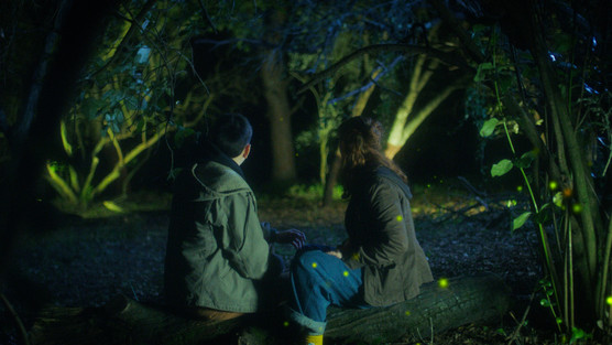 WHERE FIREFLIES SPARKLE © Escola Superior de Teatro e Cinema