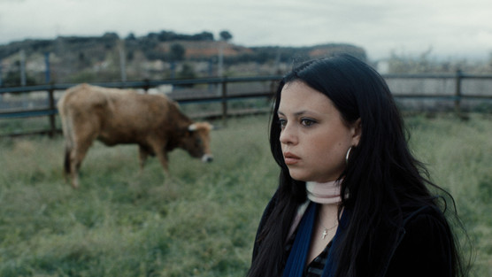 ME, YOU AND THE COW © Aina Callejón 2026