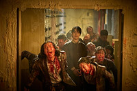 Before Colony, 5 zombie films that shook the Festival