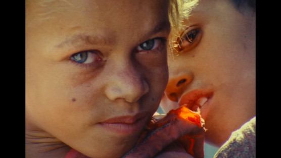 THE STORY OF DOCUMENTARY FILM (THE 1970S)
